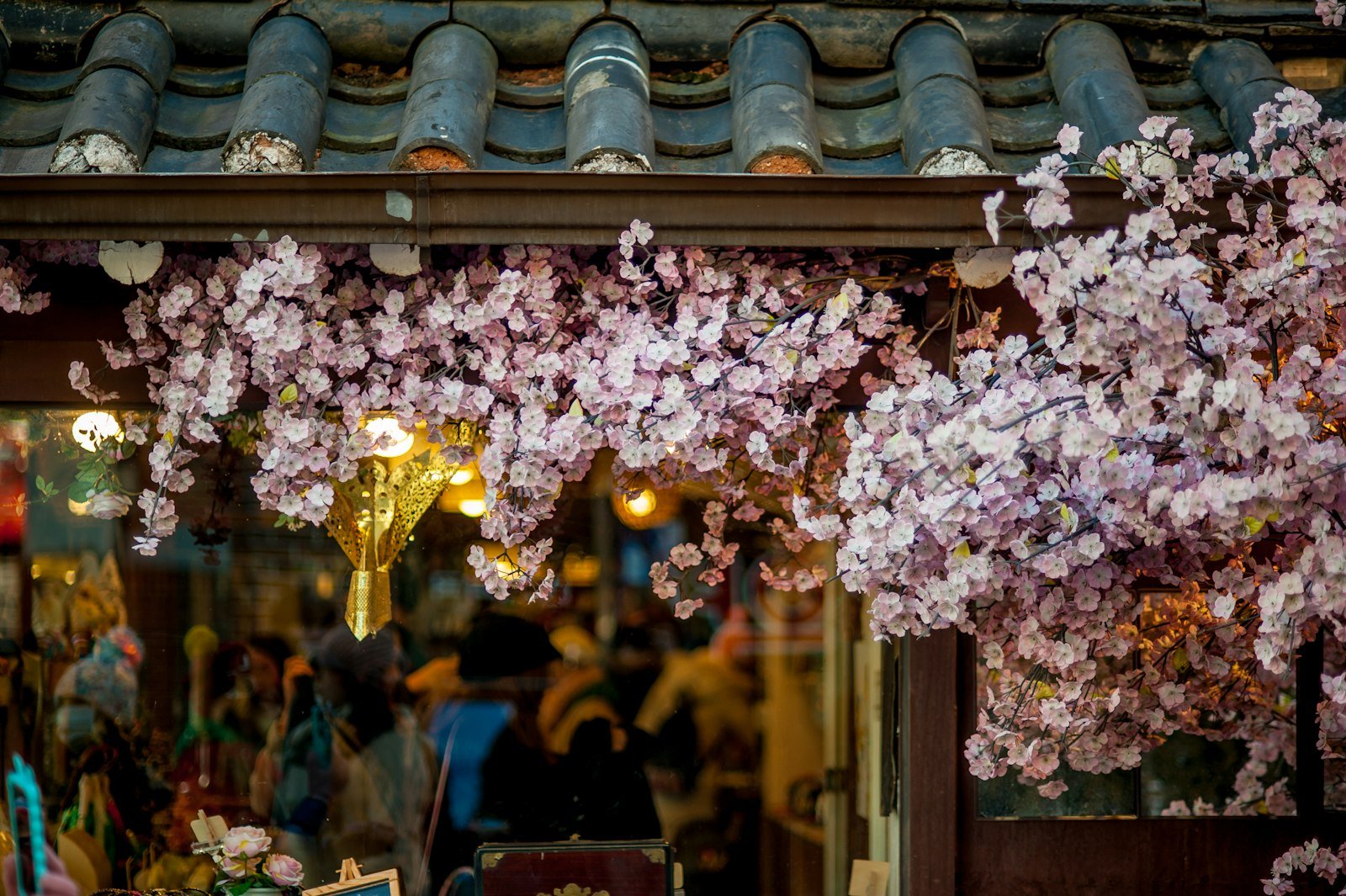 Quando florescem as cerejeiras em Seul e no Japão: guia para a primavera de 2027